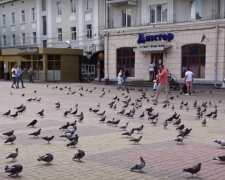 Тернополян душить моторошний сморід ночами, причина знайшлася в несподіваному місці