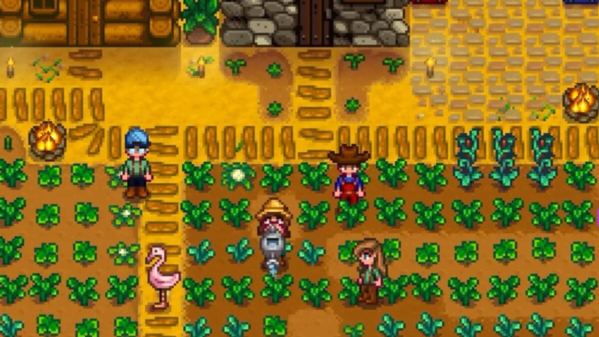 Stardew Valley ждет большое будущее: создатель шедевральной фермы поделился  планами - ЗНАЙ ЮА