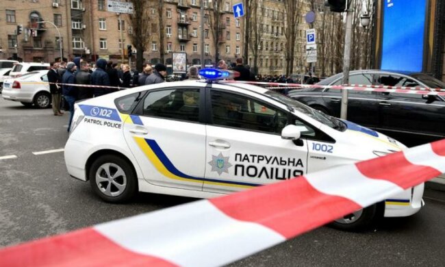 Дочка по-звірячому вбила матір і втекла