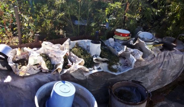 В Мариуполе изъяли три килограмма ухоженной конопли (фото)
