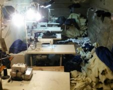 В’єтнамці на Одещині шили фальшивий Adidas і Nike (фото, відео)