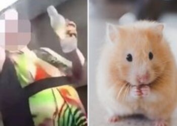 Видео с безумным трюком было загружено в Facebook