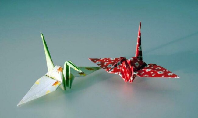 Биологи научились делать ловушки из оригами