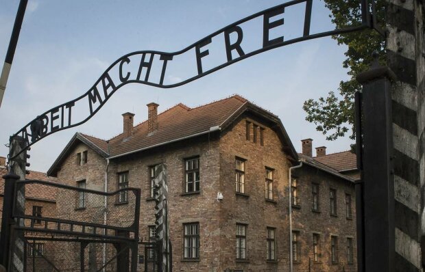 Знімок звільнення Освенцима виявився фейком, сестра постраждалої від Голокосту пролила світло на десятиліття брехні