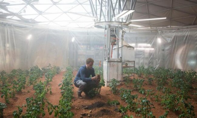 Стало известно, когда появятся первые "марсиане"