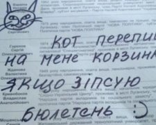 Виборці масово і показово псували свої бюлетені – ENEMO