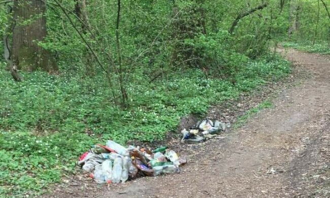 Купи сміття та непотребу - у Львові любителі шашликів перетворили Сихівський ліс на огидне звалище