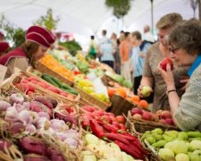 Цей овоч здатний захистити мозок від вікових змін