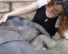 Велелюбне слоненя підкорило гостей заповідника (ВІДЕО)