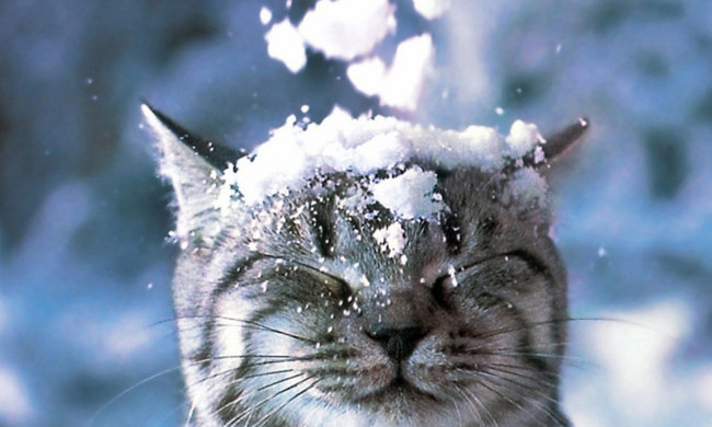 Погода на 24 жовтня: зима вже почалася