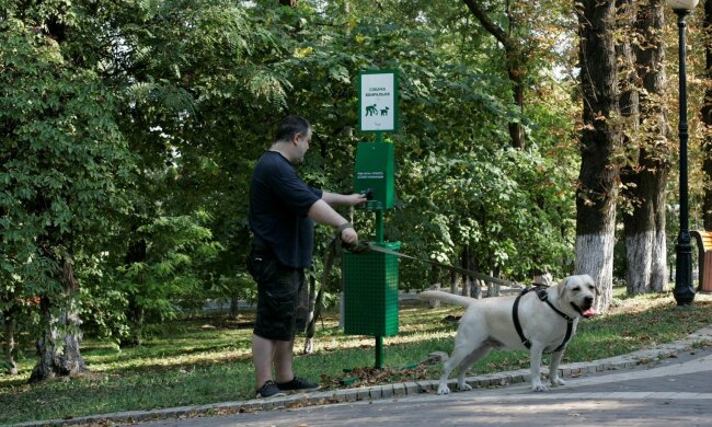 Вінницьких псів посадили "на унітази": містяни показали цінний лайфхак всій Україні