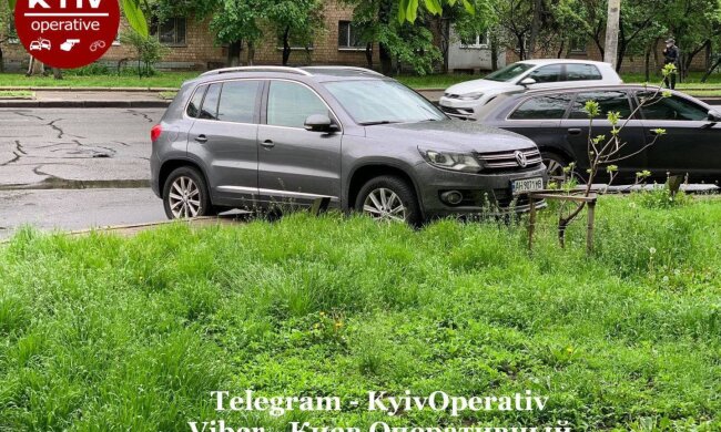 У Києві "олень" парковки довів містян до білого калення: "Ні штрафи, ні евакуація..."
