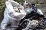 На берегах Либіді виявили костюм хімзахисту і величезний бюстгалтер (фото)