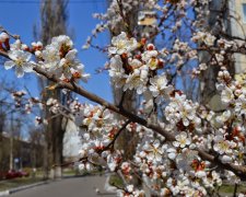 Зима по-людськи розлучиться з українцями, але не одразу: синоптики попередили про плани стихії