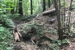 На Прикарпатті розкопали таємничий бункер часів Петлюри, замаскований під лисячу нору