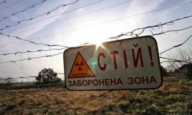 Вернуть Чернобыль к жизни помогут деревья