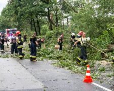 Негода в Польщі: зруйновані будинки та загиблі