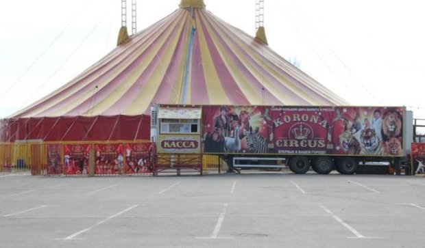 У Львові заборонили пересувні цирки