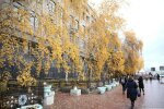 Підступна стихія зіпсує всі плани киян: чого чекати від погоди 19 листопада