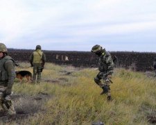 НАТО виділить українським саперам мільйон євро