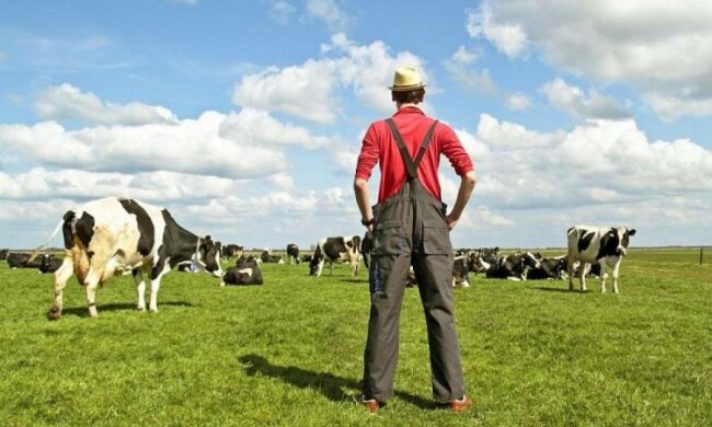 Та куди вже: українських фермерів обклали ще одним податком