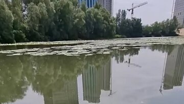 Озеро Небреж на Осокорках у Києві