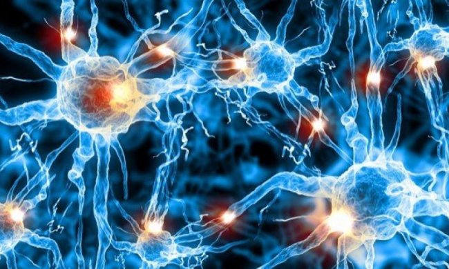 3D-друк допоможе відновлювати пошкоджені нерви (відео)