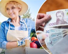 Денежная помощь украинкам на ведение хозяйства
