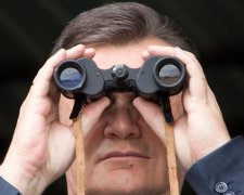 Адвокат плутає сліди Януковича
