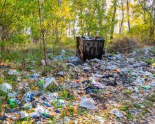 Вонь на весь Днепр: популярное место для отдыха превратилась в свалку, позорные кадры свинства