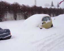 Лез в карман: киевские копы едва "убежали" от пьяного водителя