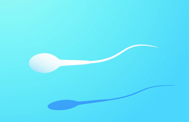 Спермограмма на дому: как с помощью смартфона провести тест на бесплодие
