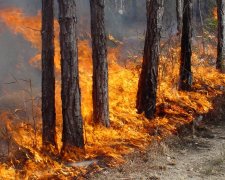 Дніпряни опинилися у смертельній небезпеці: як не потрапити в пастку