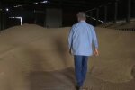 Зерно, фото: скриншот из видео