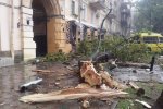 По Одессе пронесся ураган: впечатляющие кадры