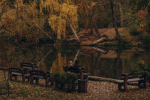 Осень, погода, украинцы, фото из соцсетей