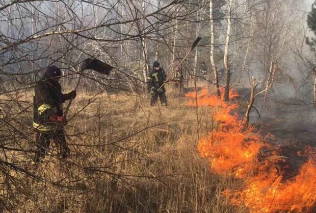 Пожежа в Чорнобильській зоні, фото: ДСНС