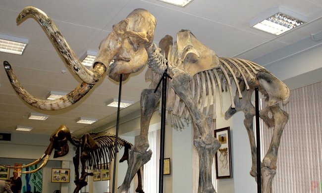 В Україні під землею побачили справжній Парк Юрського періоду: "Вперше в світі"