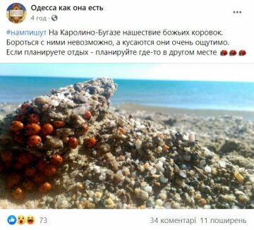 Публикация сообщества "Одесса как она есть", скриншот: Facebook