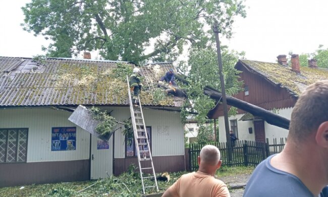 По Буковине пронесся сверхмощный ураган - дьявольский ветер, поваленные деревья и реки вместо улиц
