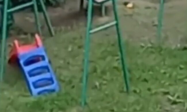 Крысы на детской площадке, кадр из видео