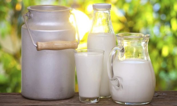 Скупщики покупают молоко у крестьян по 2,8 гривны