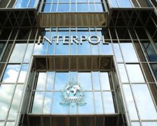 Український автомобільний ринок потрапив від перевірку Інтерполу
