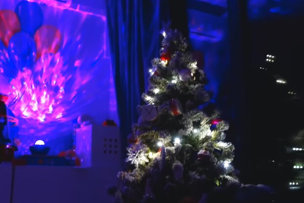 Новогодняя елка, фото: Знай.ua
