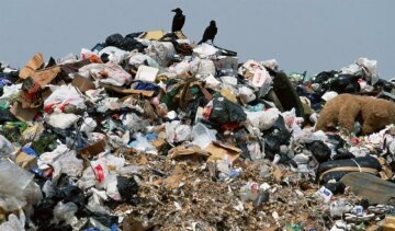 У Львівській області загорілися ще два звалища