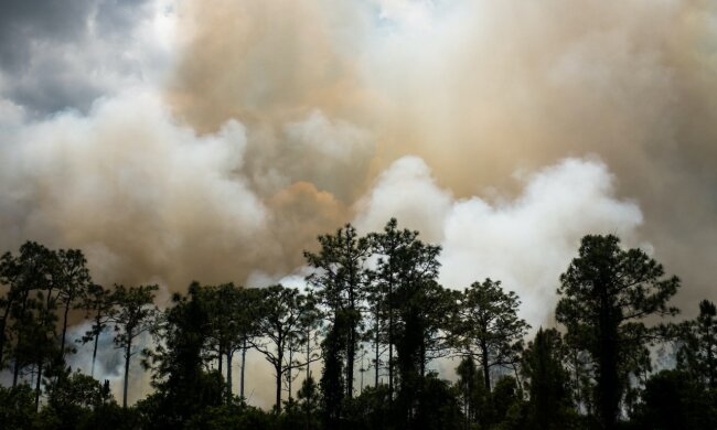 територія Кінбурнського півострова