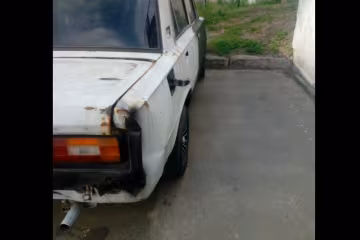 У Києві хвостатого злодюжку засікли на місці злочину - "Ось куди бензин подівся!"
