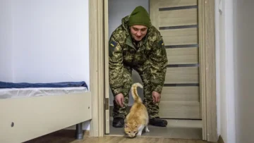 Житло військових та вразливих осіб під захистом закону