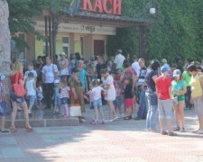 Стая бродячих собак растерзала жителей николаевского зоопарка