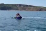 Мужчины столкнулись с акулой, кадр из видео